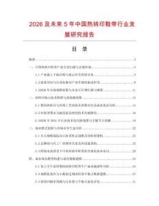 2026及未來5年中國熱轉(zhuǎn)印鞋帶行業(yè)發(fā)展研究報告