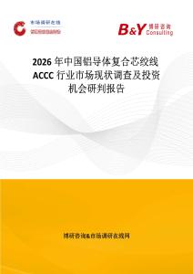 2026年中國鋁導體復合芯絞線ACCC行業市場現狀調查及投資機會研判報告