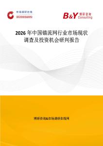 2026年中國錨流網行業市場現狀調查及投資機會研判報告
