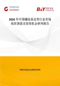2026年中國鑲鉆真皮帶行業市場現狀調查及投資機會研判報告