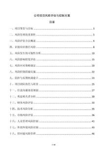 公司項目風險評估與控制方案