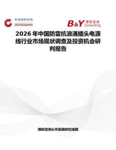 2026年中國防雷抗浪涌插頭電源線行業市場現狀調查及投資機會研判報告