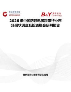 2026年中國防靜電腳跟帶行業市場現狀調查及投資機會研判報告