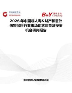 2026年中国非人寿&财产和意外伤害保险行业市场现状调查及投资机会研判报告