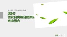 高中生物精品課件：性狀自由組合的原因是非等位基因的自由組合