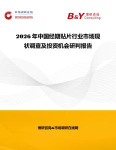 2026年中國經期貼片行業市場現狀調查及投資機會研判報告