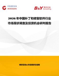 2026年中國補丁和修復軟件行業市場現狀調查及投資機會研判報告