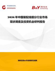 2026年中國裝配線細(xì)分行業(yè)市場現(xiàn)狀調(diào)查及投資機(jī)會研判報告