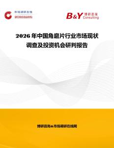 2026年中國角磨片行業市場現狀調查及投資機會研判報告
