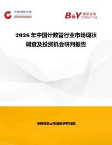 2026年中國計數管行業市場現狀調查及投資機會研判報告