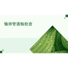 2026年醫學課件輸卵管通暢檢查新版