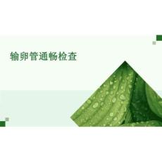 2026年醫學課件輸卵管通暢檢查新版