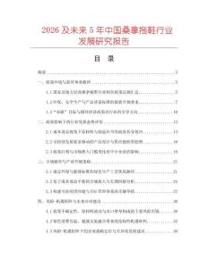 2026及未來5年中國桑拿拖鞋行業發展研究報告