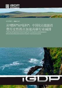 綠新院iGDP：從“燃料向“原料”：中國化石能源消費歷史性拐點加速高碳行業減排