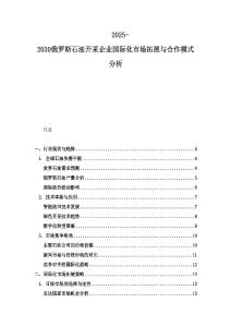 2025-2030俄羅斯石油開采企業國際化市場拓展與合作模式分析