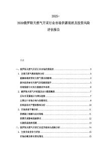 2025-2030俄羅斯天然氣開采行業市場供需現狀及投資風險評估報告