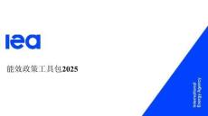 IEA-能效政策工具包2025