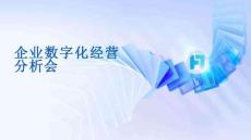2025年企業(yè)數(shù)字化經(jīng)營分析會(huì)解決方案