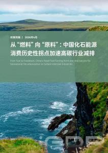 2026從“燃料”向“原料”：中國化石能源消費歷史性拐點加速地方高碳行業減排報告