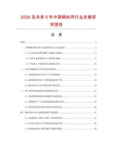 2026及未來5年中國銅絲網行業發展研究報告