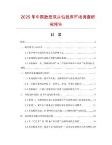 2025年中國數控雙頭鉆銑床市場調查研究報告