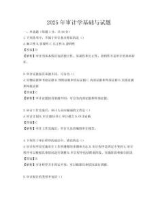 2025年審計學(xué)基礎(chǔ)與試題