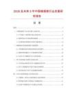 2026及未來5年中國暗插鎖行業發展研究報告