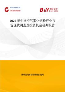 2026年中國空氣霧化銅粉行業市場現狀調查及投資機會研判報告