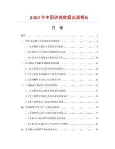 2026年中国砂绵数据监测报告