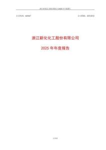 新化股份：2025年年度报告