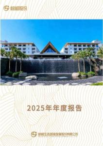 棕櫚股份：2025年年度報(bào)告