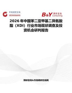 2026年中國苯二亞甲基二異氰酸酯（XDI）行業市場現狀調查及投資機會研判報告
