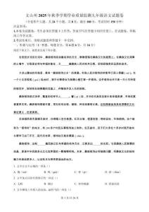 云南省文山壯族苗族自治州2025-2026學年九年級上學期期末語文試題（解析版）
