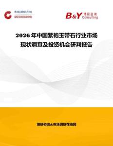 2026年中國紫袍玉帶石行業(yè)市場現(xiàn)狀調(diào)查及投資機(jī)會研判報告