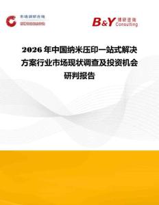 2026年中國納米壓印一站式解決方案行業市場現狀調查及投資機會研判報告