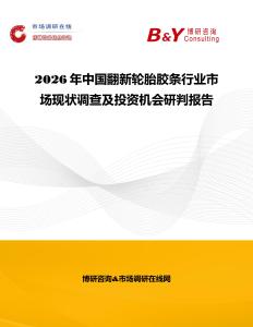2026年中國翻新輪胎膠條行業市場現狀調查及投資機會研判報告