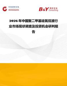 2026年中國聚二甲基硅氧烷液行業市場現狀調查及投資機會研判報告