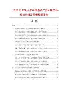 2026及未來5年中國燒結廣場地磚市場現狀分析及前景預測報告
