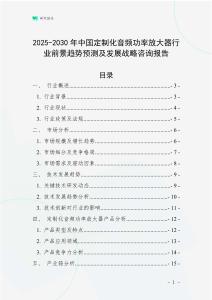 2025-2030年中国定制化音频功率放大器行业前景趋势预测及发展战略咨询报告