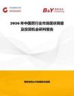 2026年中國苊行業市場現狀調查及投資機會研判報告