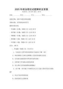 2025年政治理論試題解析及答案