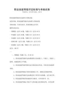 職業技能等級評定標準與考核試卷
