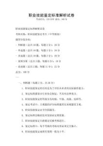 職業技能鑒定標準解析試卷