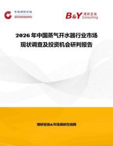 2026年中國蒸氣開水器行業市場現狀調查及投資機會研判報告