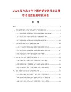 2026及未來5年中國角鋼貨架行業發展市場調查數據研究報告