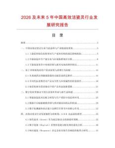 2026及未來5年中國高效潔瓷靈行業發展研究報告
