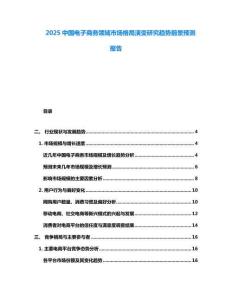 2025中國電子商務領域市場格局演變研究趨勢前景預測報告