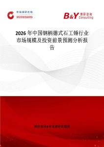 2026年中國鋼柄德式石工錘行業(yè)市場規(guī)模及投資前景預(yù)測分析報(bào)告
