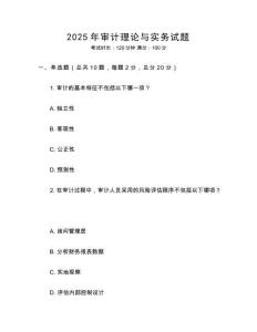 2025年審計理論與實務試題