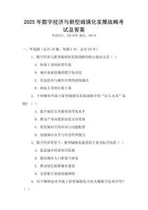 2025年數字經濟與新型城鎮化發展戰略考試及答案